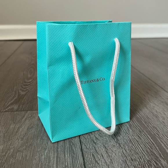 Tiffany and Company Empty Shopping Tote/Gift Bag🩵 - Picture 2 of 8